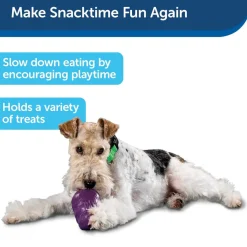 Petsafe Busy Buddy Squirrel Dude Treat Dispenser Dog Chew Toy