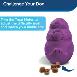 Petsafe Busy Buddy Squirrel Dude Treat Dispenser Dog Chew Toy