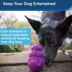 Petsafe Busy Buddy Squirrel Dude Treat Dispenser Dog Chew Toy