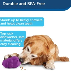 Petsafe Busy Buddy Squirrel Dude Treat Dispenser Dog Chew Toy