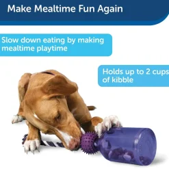 Petsafe Busy Buddy Tug-A-Jug Treat Dispenser Tough Dog Chew Toy