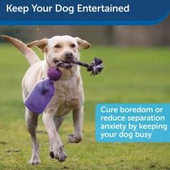 Petsafe Busy Buddy Tug-A-Jug Treat Dispenser Tough Dog Chew Toy