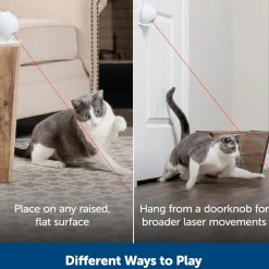 PetSafe Dancing Dot Laser Cat Toy