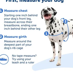PetSafe Deluxe Easy Walk No Pull Dog Harness, Steel/Black