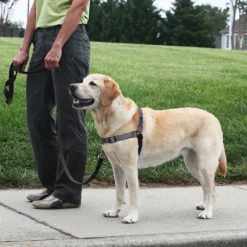 PetSafe Deluxe Easy Walk No Pull Dog Harness, Steel/Black
