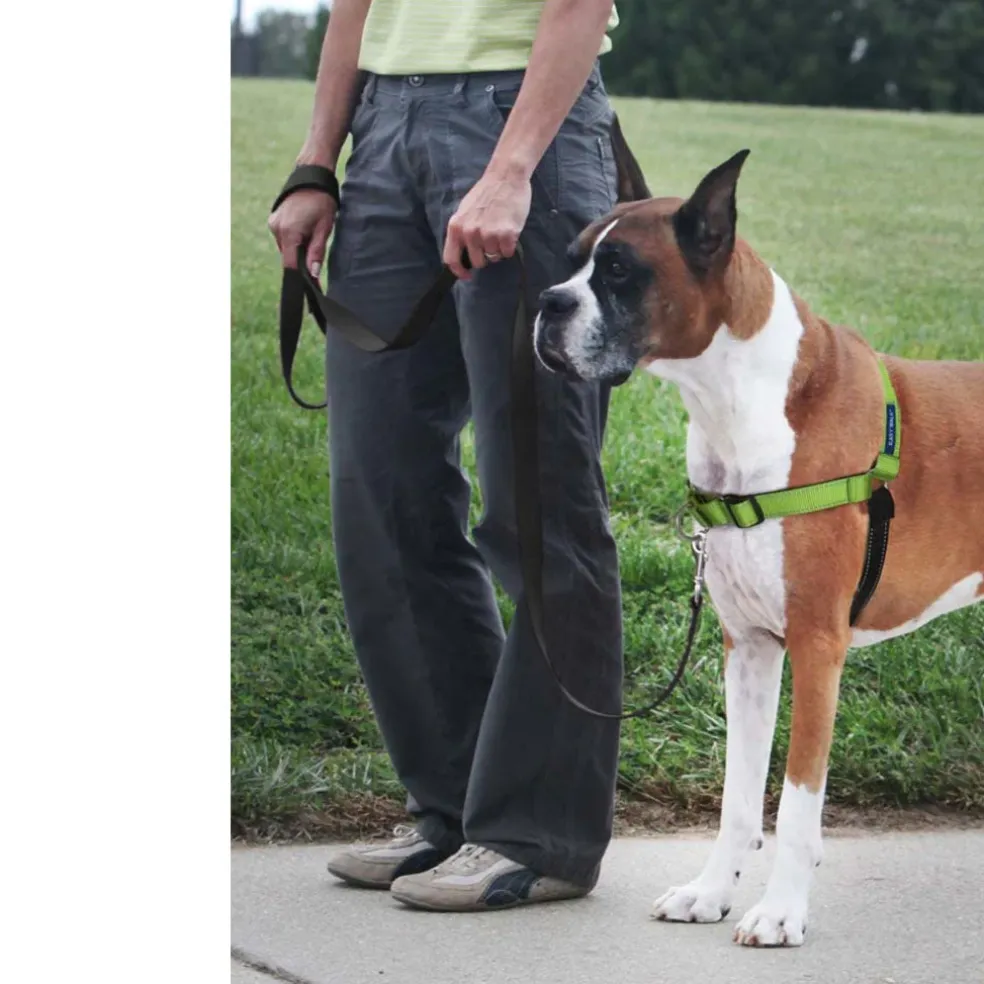 PetSafe Deluxe Easy Walk No Pull Dog Harness, Apple/Black