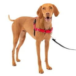 PetSafe Easy Walk Dog Harness Black/Red