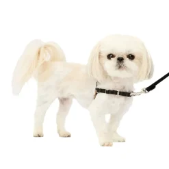 PetSafe Easy Walk Dog Harness Black/Silver