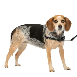 PetSafe Easy Walk Dog Harness Black/Silver