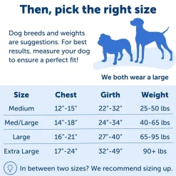 PetSafe Easy Walk Dog Harness Royal Blue/Navy