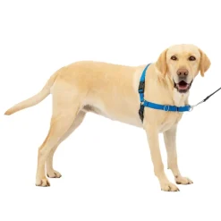 PetSafe Easy Walk Dog Harness Royal Blue/Navy
