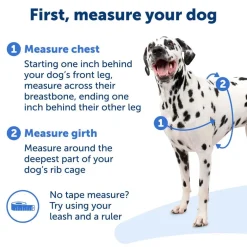 PetSafe Easy Walk Dog Harness Royal Blue/Navy