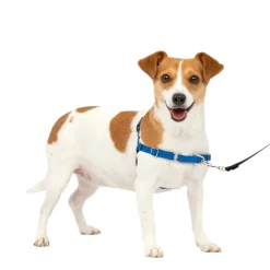 PetSafe Easy Walk Dog Harness Royal Blue/Navy