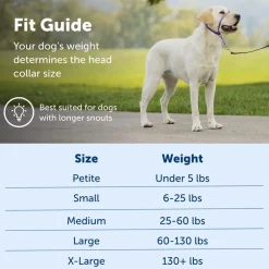 PetSafe Gentle Leader Headcollar for Dogs, Royal Blue