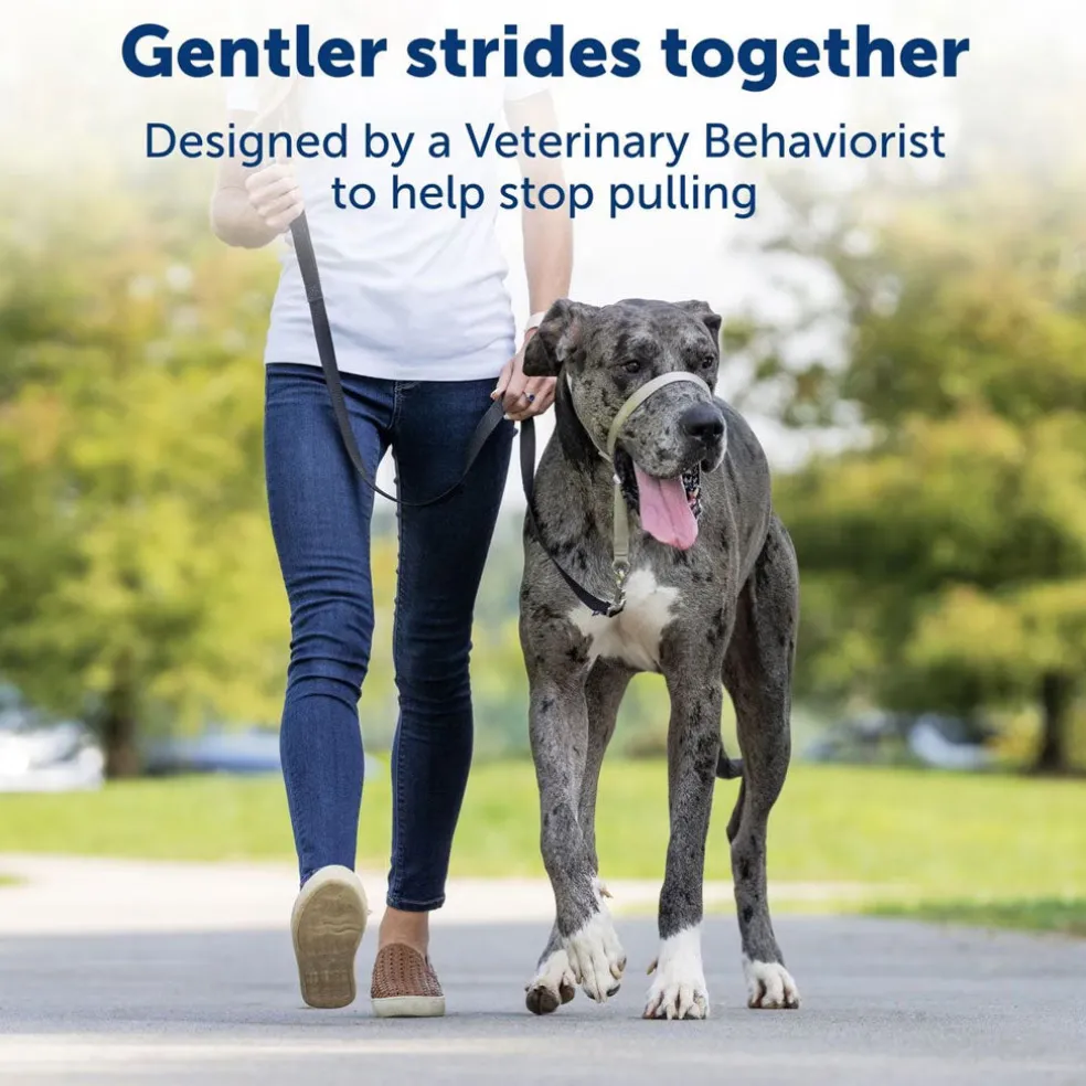 PetSafe Gentle Leader Headcollar for Dogs, Red