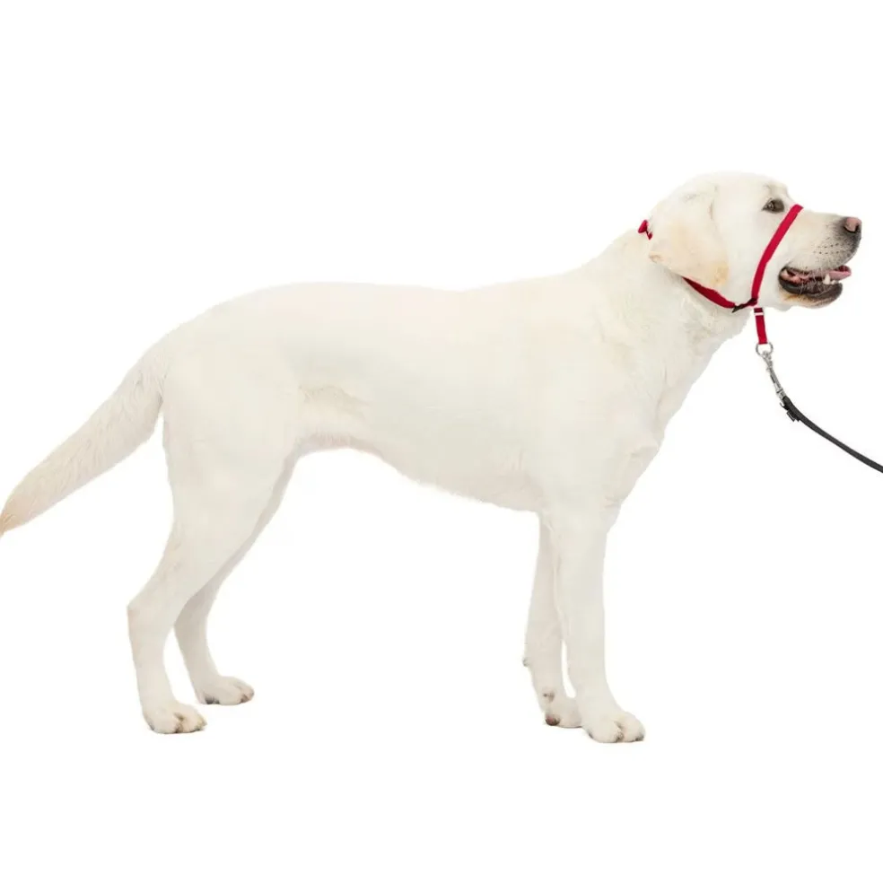 PetSafe Gentle Leader Headcollar for Dogs, Red