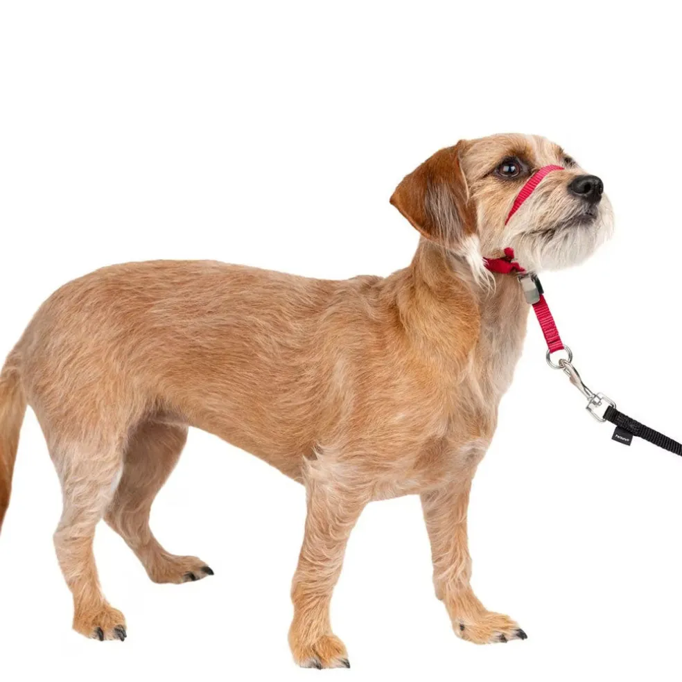 PetSafe Gentle Leader Headcollar for Dogs, Red