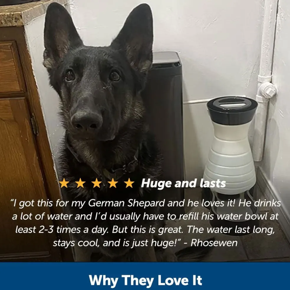 PetSafe Healthy Pet Water Station For Dogs & Cats, Small/Petite