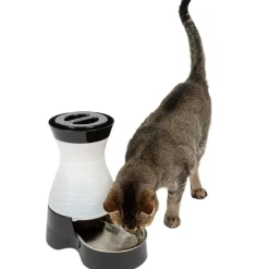 PetSafe Healthy Pet Water Station For Dogs & Cats, Small/Petite