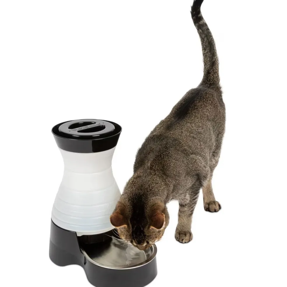PetSafe Healthy Pet Water Station For Dogs & Cats, Small/Petite
