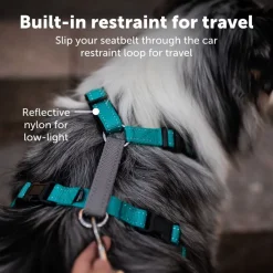 PetSafe 3-in-1 Dog Harness with Car Control Strap, Teal