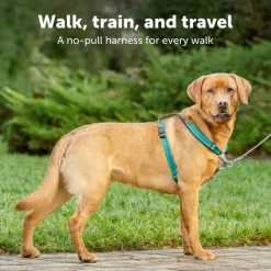 PetSafe 3-in-1 Dog Harness with Car Control Strap, Teal