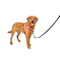 PetSafe 3-in-1 Dog Harness with Car Control Strap, Plum