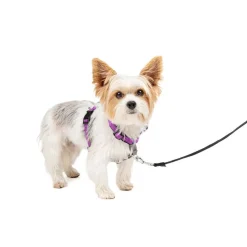 PetSafe 3-in-1 Dog Harness with Car Control Strap, Plum