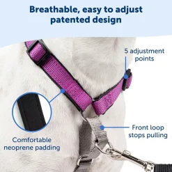 PetSafe 3-in-1 Dog Harness with Car Control Strap, Black