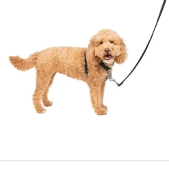 PetSafe 3-in-1 Dog Harness with Car Control Strap, Black