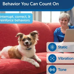 PetSafe Lite Remote Trainer Dog Collar