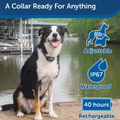 PetSafe Lite Remote Trainer Dog Collar