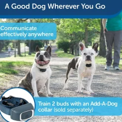 PetSafe Lite Remote Trainer Dog Collar