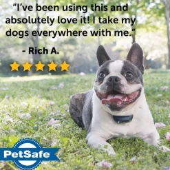PetSafe Lite Remote Trainer Dog Collar