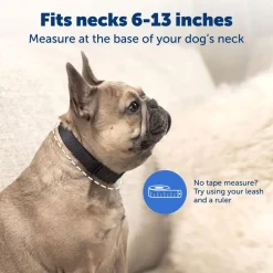 Petsafe NanoBark Collar by PetSafe Rechargeable Dog Bark Collar for Small Dogs