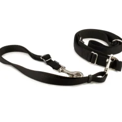 PetSafe Nylon Hands-Free Running Dog Leash, Black