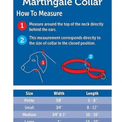 PetSafe Nylon Martingale Dog Collar, Large