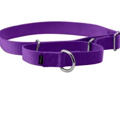 PetSafe Nylon Martingale Dog Collar, Large
