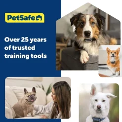 PetSafe Outdoor Ultrasonic Bark Control Deterrent