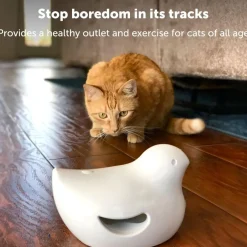 PetSafe Peek-A-Bird Automatic Cat Toy