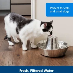 PetSafe Seaside Stainless Steel Water Fountain, 60-oz