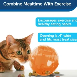 PetSafe SlimCat Interactive Cat Feeder Ball