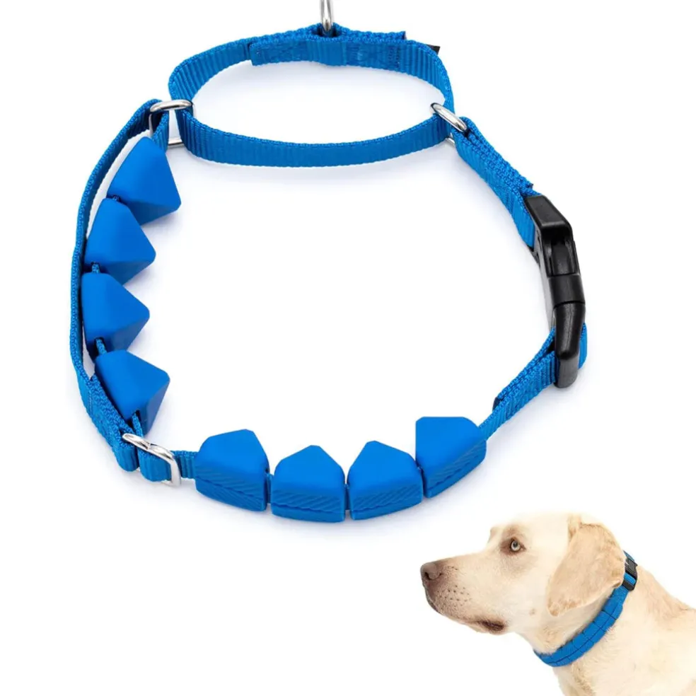 PetSafe Soft Point Dog Training Collar, Blue