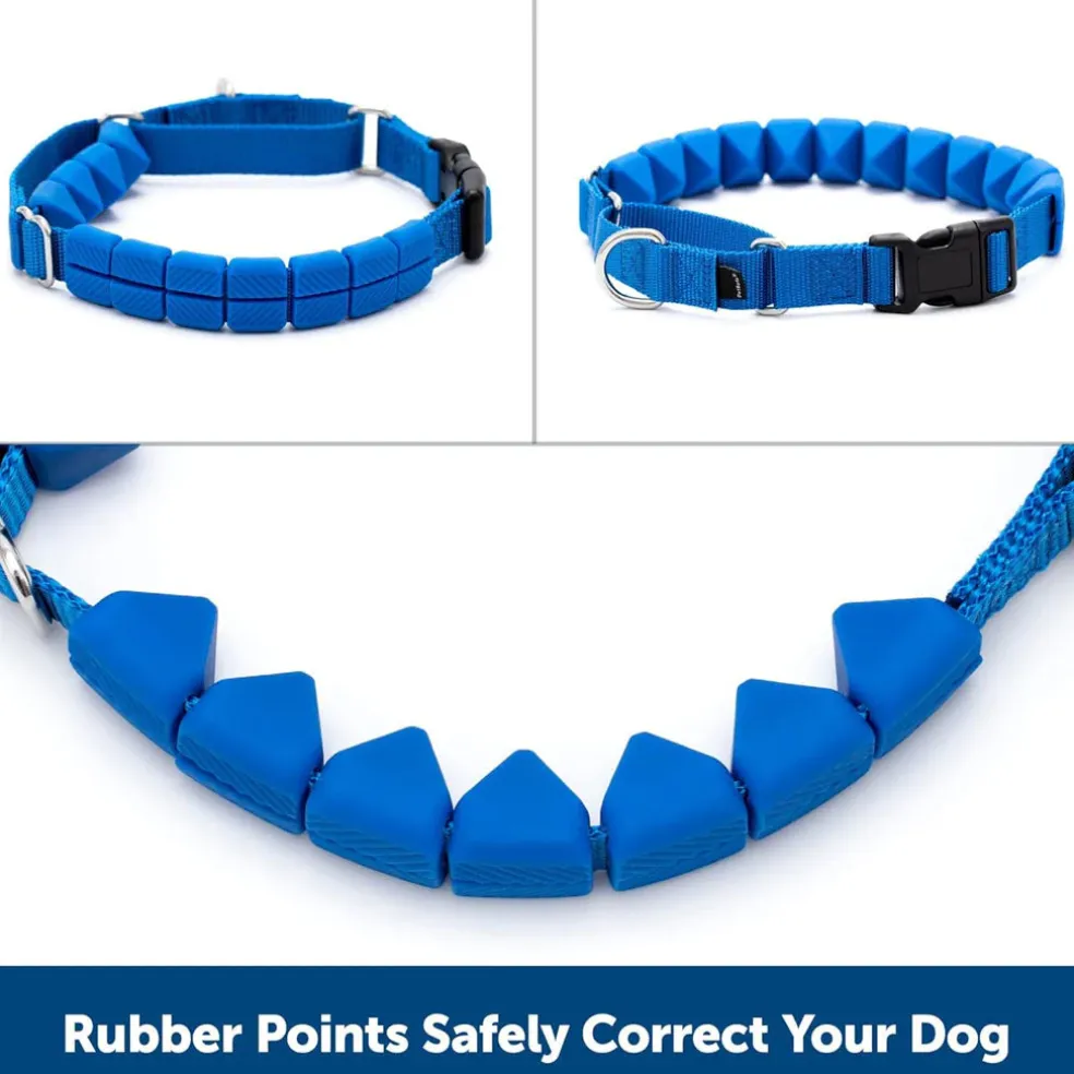 PetSafe Soft Point Dog Training Collar, Blue