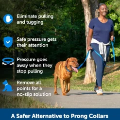 PetSafe Soft Point Dog Training Collar, Black