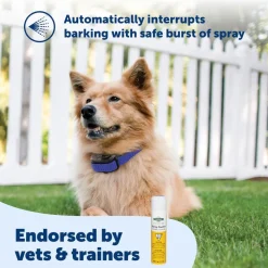 PetSafe Spray Control Refill Citronella Scent, 3-oz