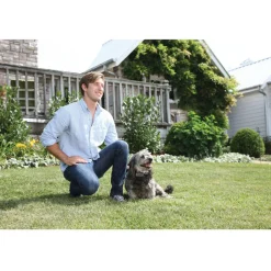 PetSafe Ultrasonic Dog Bark Control Collar for Dogs