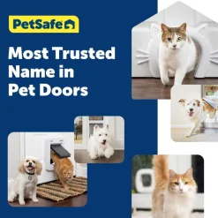 PetSafe 4-Way Locking Plastic Big Cat Door, White