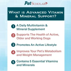Pet Scholars Advanced Vitamin & Mineral Support