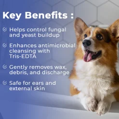 Pet Scholars Ketozole Tris Flush Anti-fungal Cleansing Solution, 12 fl oz